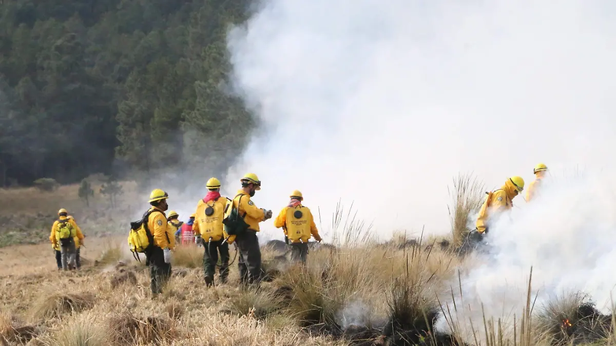 david-Incendios Forestales.......